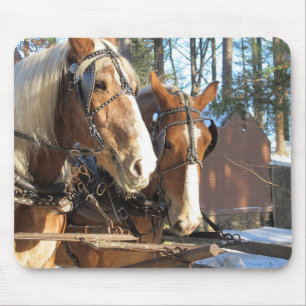 Tapis de souris de cheval d'hiver rustique