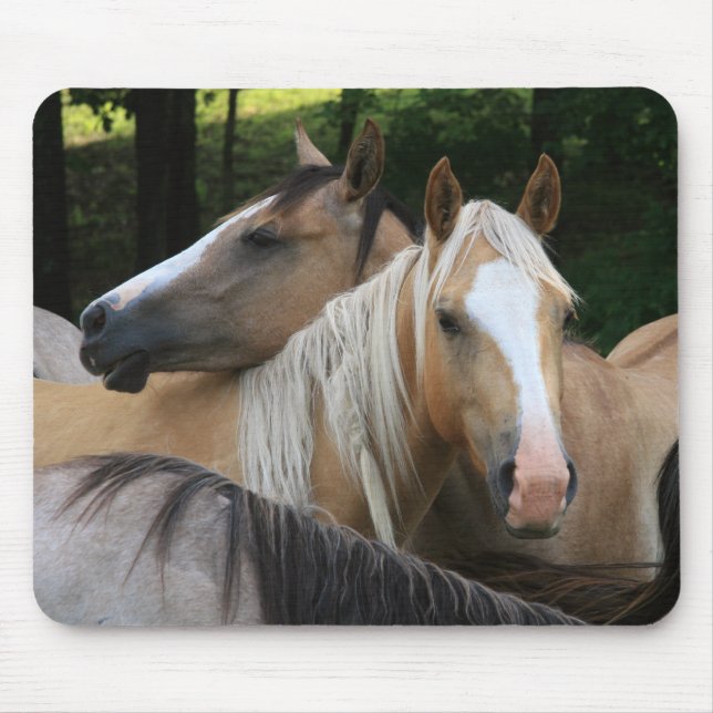 Tapis de souris de chevaux (Devant)