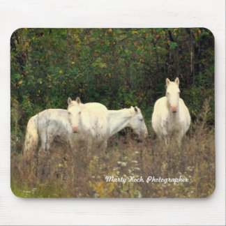 Tapis de souris de chevaux sauvages de la