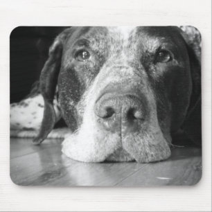 Tapis de souris de chien
