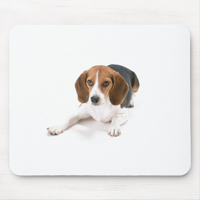 Tapis de souris de chien de beagle (Devant)