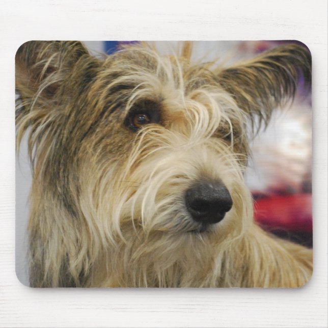 Tapis de souris de chien de Berger Picard (Devant)
