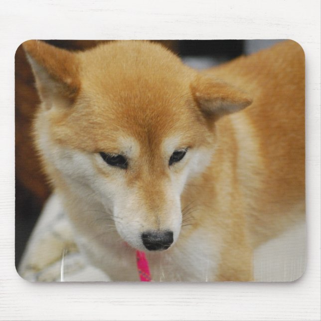 Tapis de souris de chien de Shiba Inu (Devant)