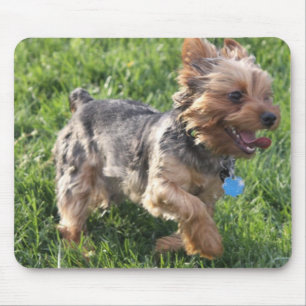Tapis de souris de chien de York Terrier