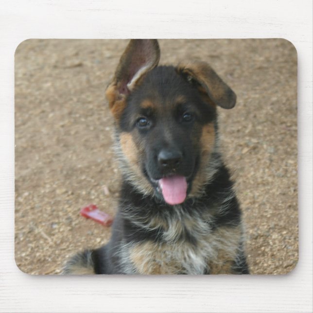 Tapis de souris de chiot de berger allemand (Devant)