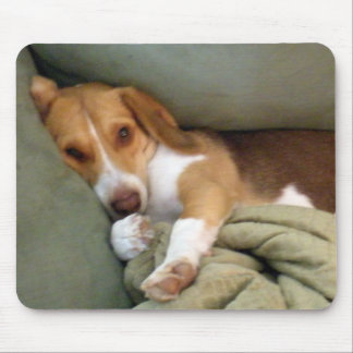 Tapis de souris de chiot de câlin