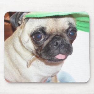 tapis de souris de chiot de carlin