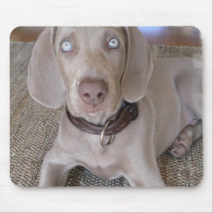 Tapis de souris de chiot de Weimaraner