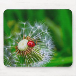 Tapis de souris de coccinelle