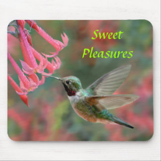 Tapis de souris de colibri