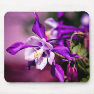 Tapis de souris de Columbine