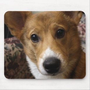 Tapis de souris de corgi de Pembroke