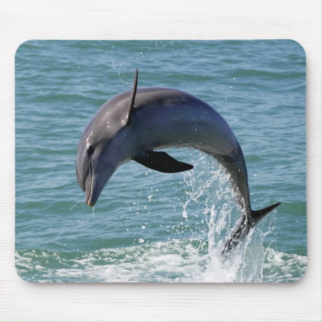 Tapis de souris de dauphin (Devant)