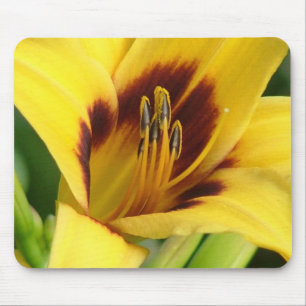 Tapis de souris de début de la matinée