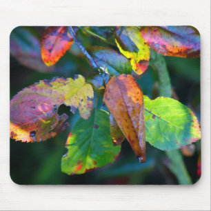 Tapis de souris de feuille d'automne