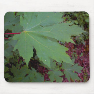 Tapis de souris de feuille d'érable