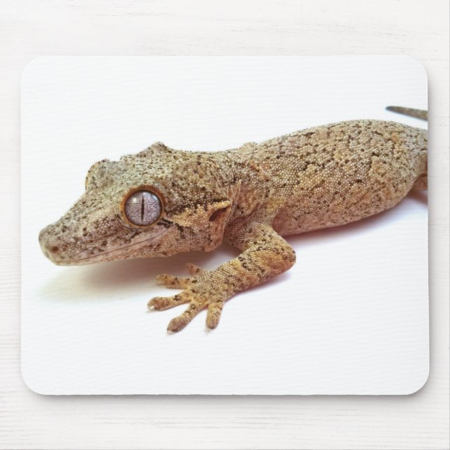 Tapis de souris de Gecko de gargouille (Devant)