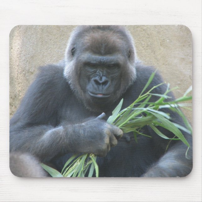 Tapis de souris de gorille de Silverback (Devant)