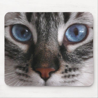 Tapis de souris de Kitty "d'yeux bleus
