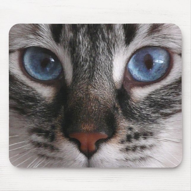 Tapis de souris de Kitty "d'yeux bleus (Devant)