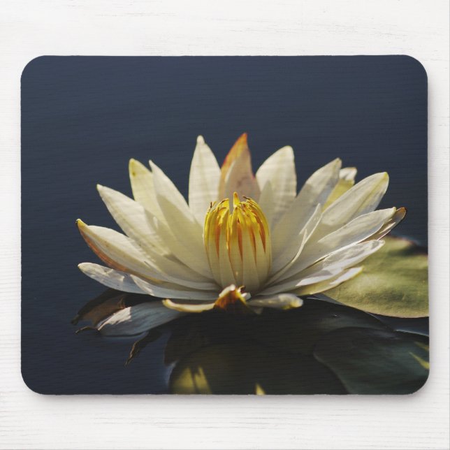 Tapis de souris de l'eau blanche lilly - (Devant)