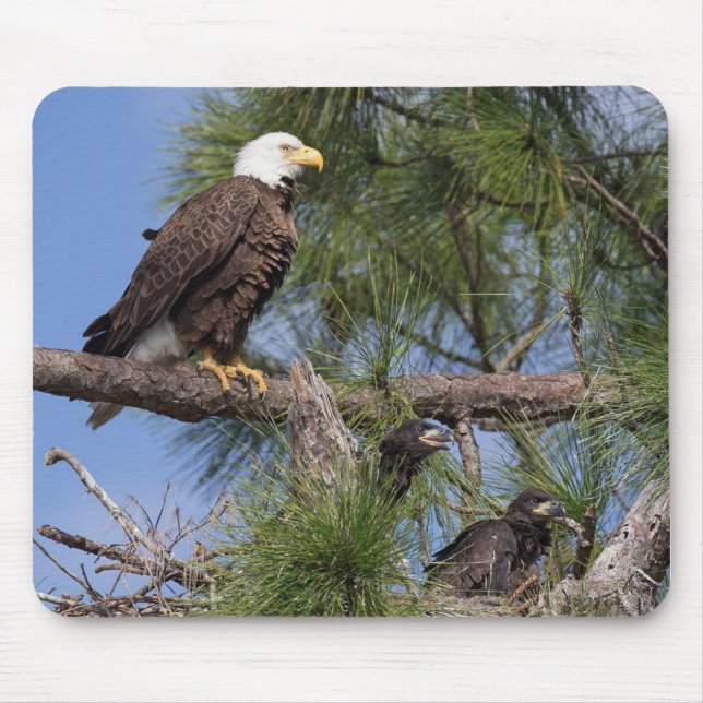 Tapis de souris de l'ordinateur E10 et E11 (Devant)