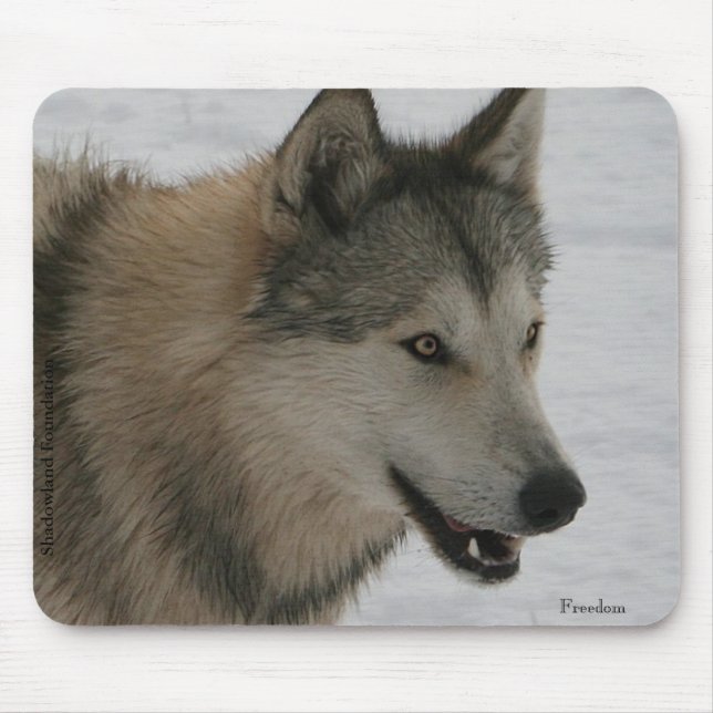 Tapis de souris de loup (Devant)