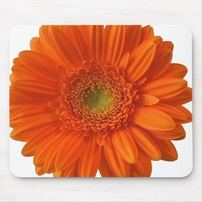 Tapis de souris de marguerite orange (Devant)