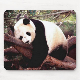Tapis de souris de panda de sommeil