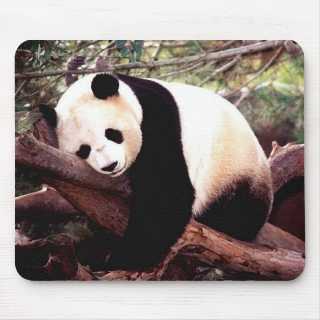 Tapis de souris de panda de sommeil (Devant)