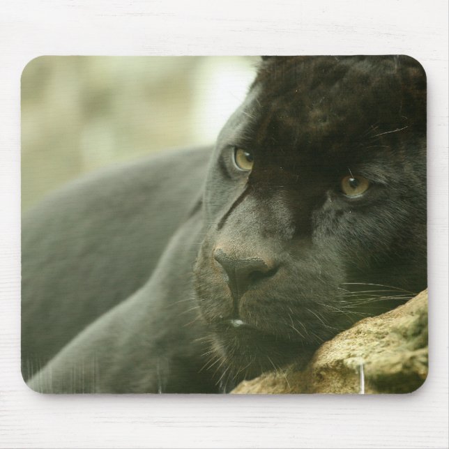 Tapis de souris de panthère de sommeil (Devant)