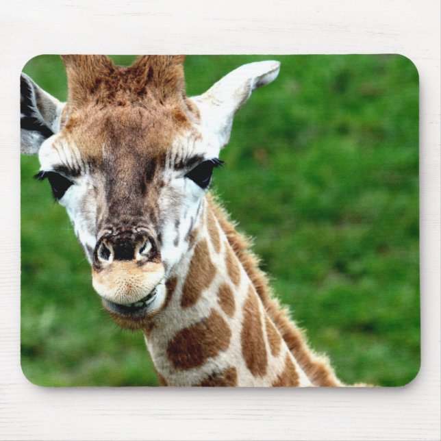 Tapis de souris de photo de girafe (Devant)