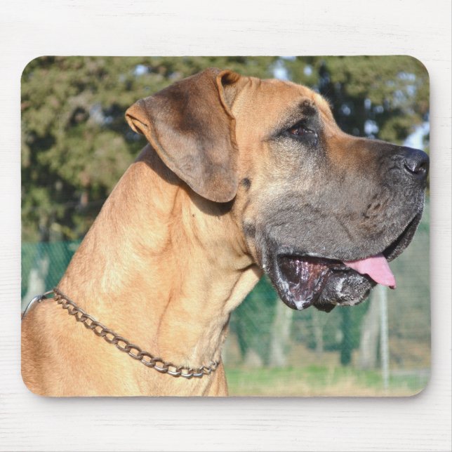 Tapis de souris de photo de great dane (Devant)