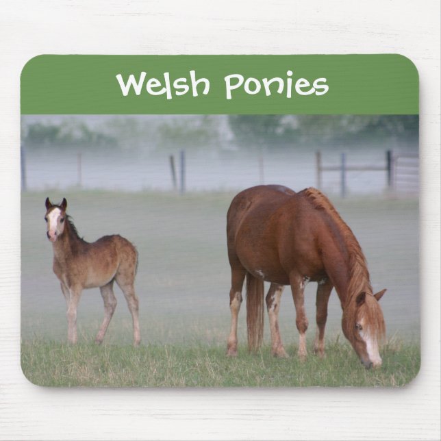 Tapis de souris de poney de gallois (Devant)