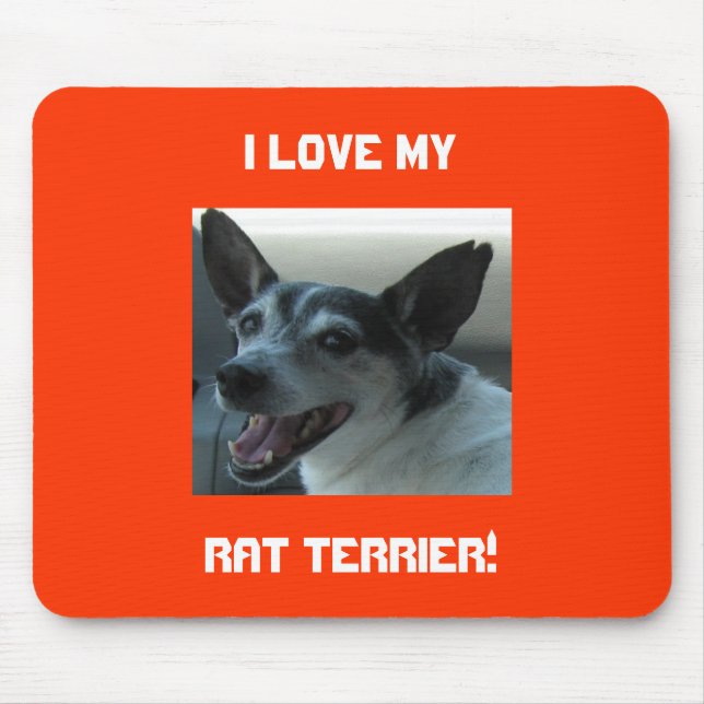 Tapis de souris de Rat terrier (Devant)
