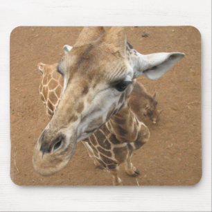 Tapis de souris de regard fixe de girafe
