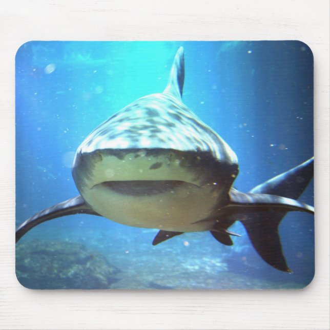 Tapis de souris de requin (Devant)