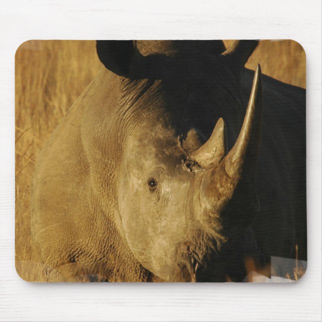 Tapis de souris de rhinocéros (Devant)