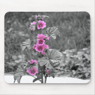 Tapis de souris de rose sauvage