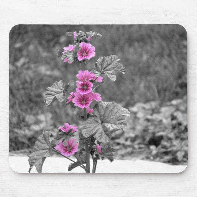Tapis de souris de rose sauvage (Devant)