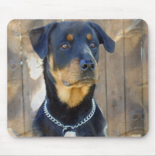 Tapis de souris de rottweiler