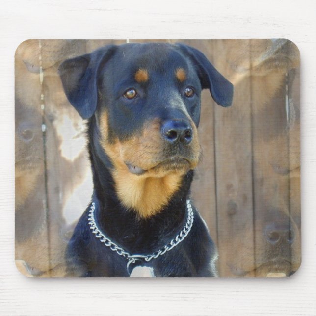 Tapis de souris de rottweiler (Devant)