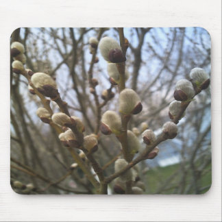 Tapis de souris de saules de chat