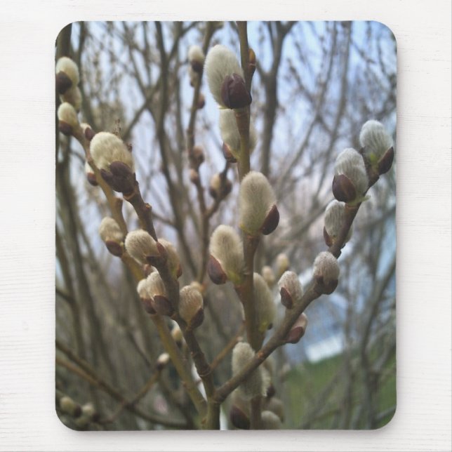 Tapis de souris de saules de chat (Devant)