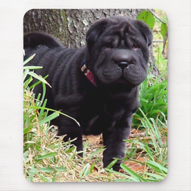 Tapis de souris de Shar-pei (Devant)