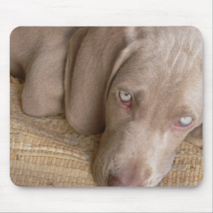 Tapis de souris de sommeil Weimaraner