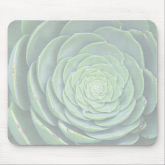 Tapis de souris de succulent de zen