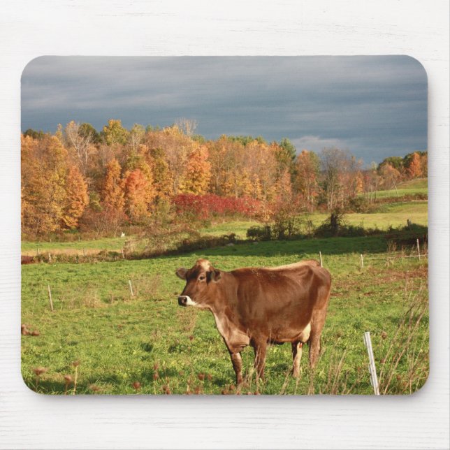 Tapis de souris de Suisse Brown (Devant)