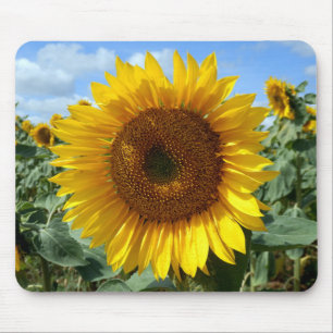 Tapis de souris de tournesol