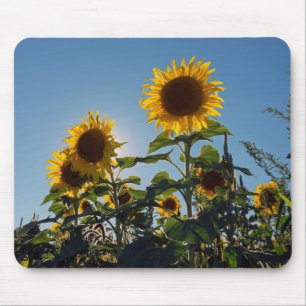Tapis de souris de tournesol